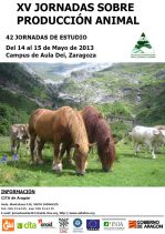Cartel de las Jornadas 2013