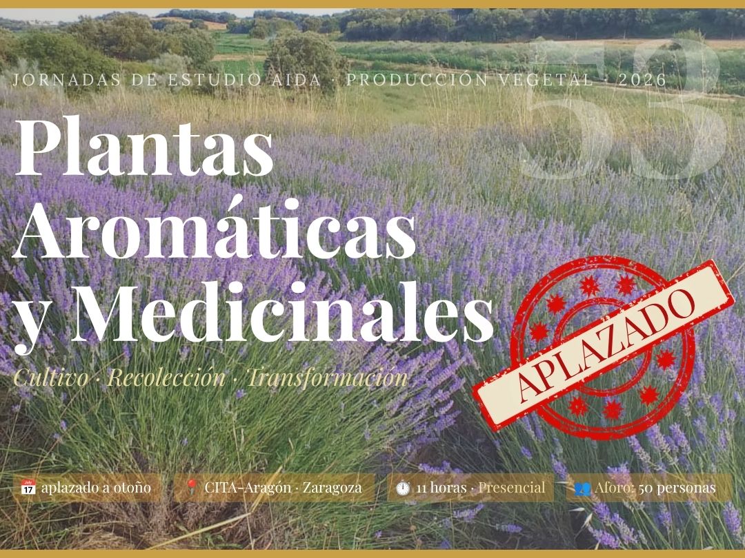 Jornadas de Estudio AIDA 2026: Plantas Aromáticas y Medicinales. Curso aplazado