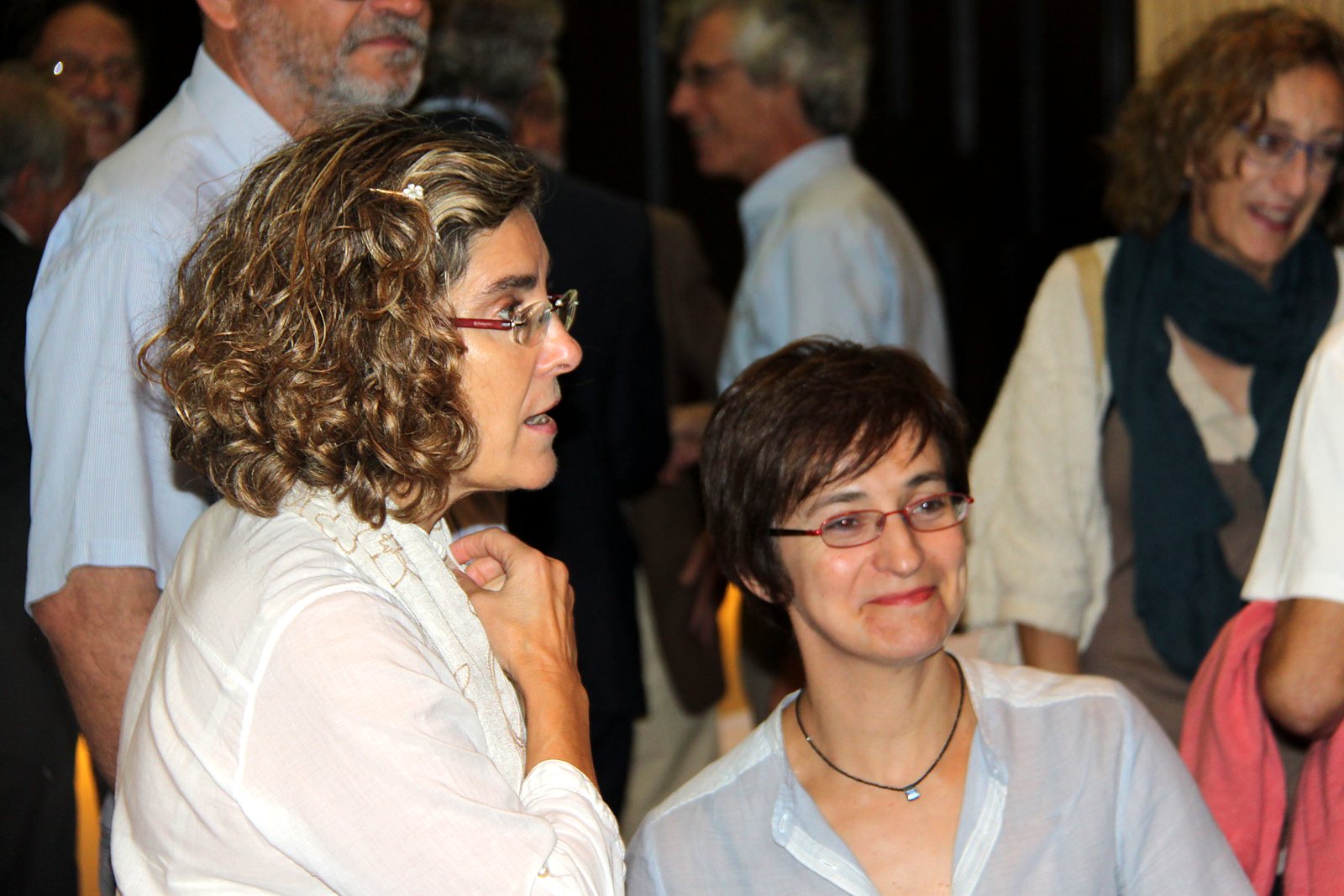 Acto del Cincuentenario de AIDA (2017). Asistentes al acto
