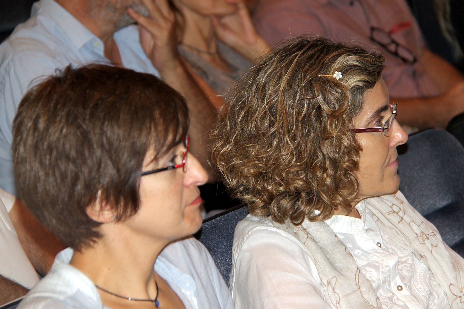Acto del Cincuentenario de AIDA (2017). Asistentes al acto