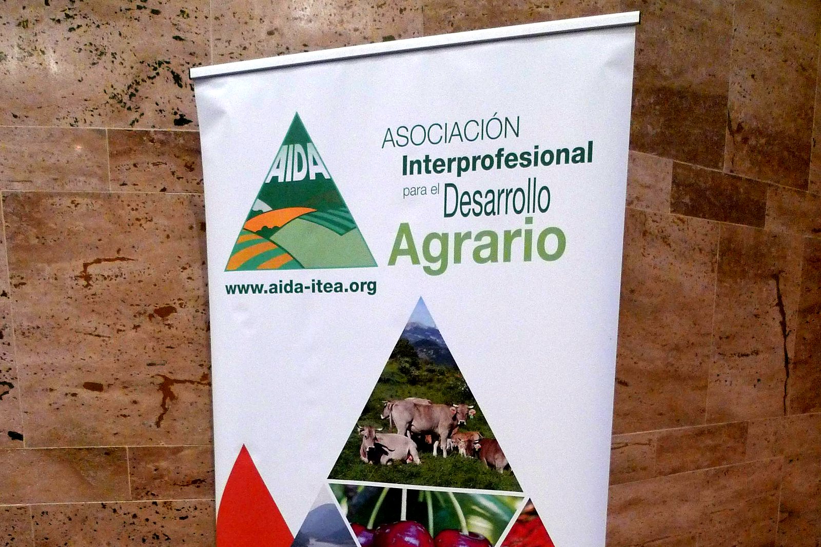 Conferencia «La mujer en la ciencia» (2017). Expositor de AIDA y la revista ITEA