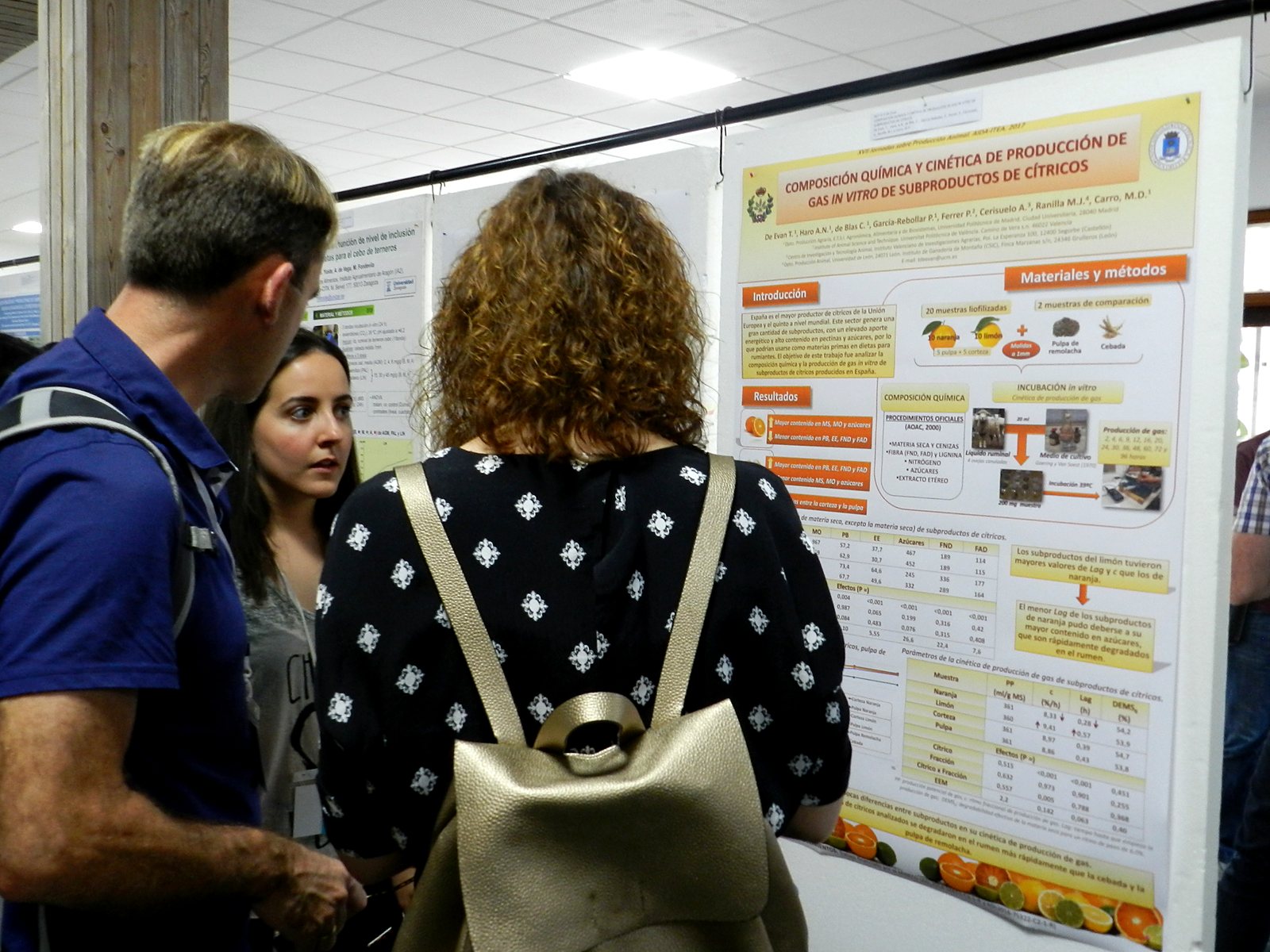 Jornadas AIDA 2017. Sesión de pósteres