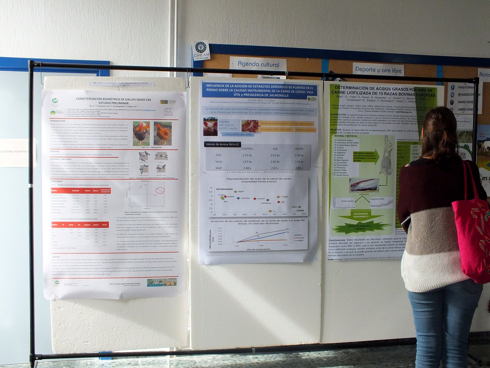 Jornadas AIDA 2019. Segunda jornada. Sesión de pósteres