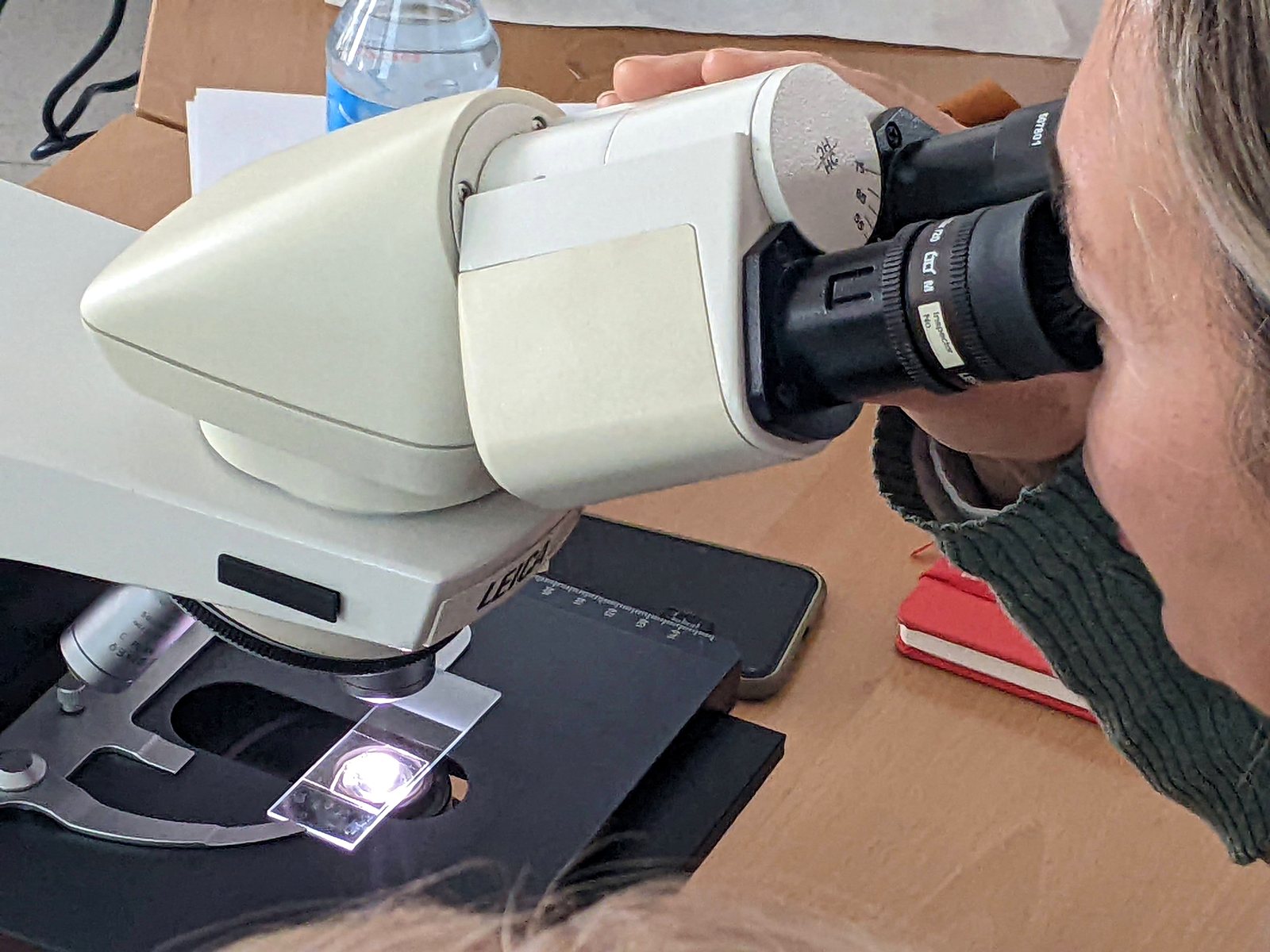 Jornadas AIDA 2022. Taller de identificación de especies de hongos hipogeos
