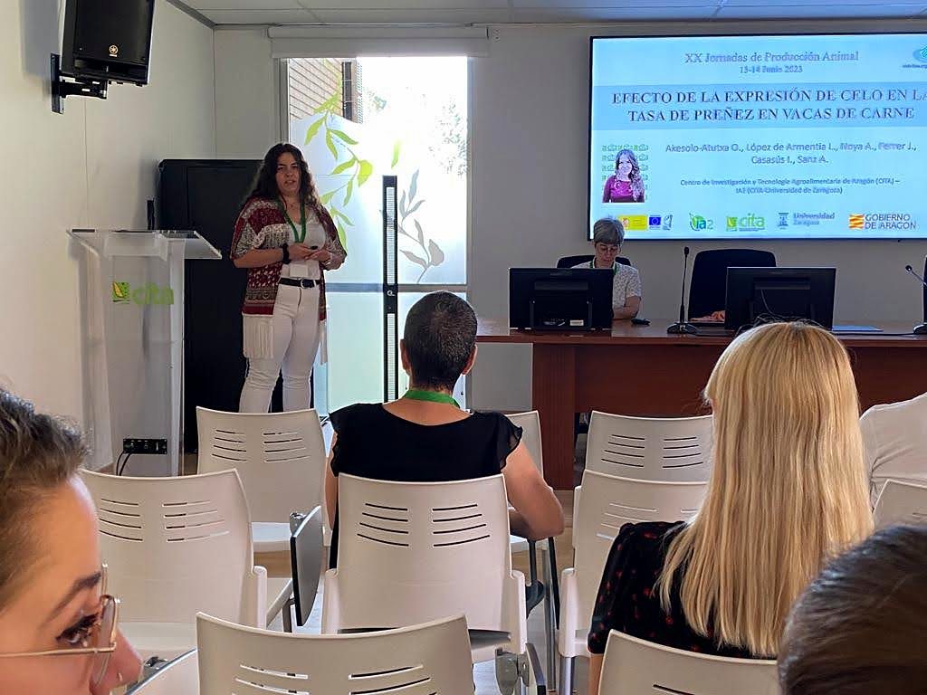 Jornadas AIDA 2023. Sesiones de comunicaciones