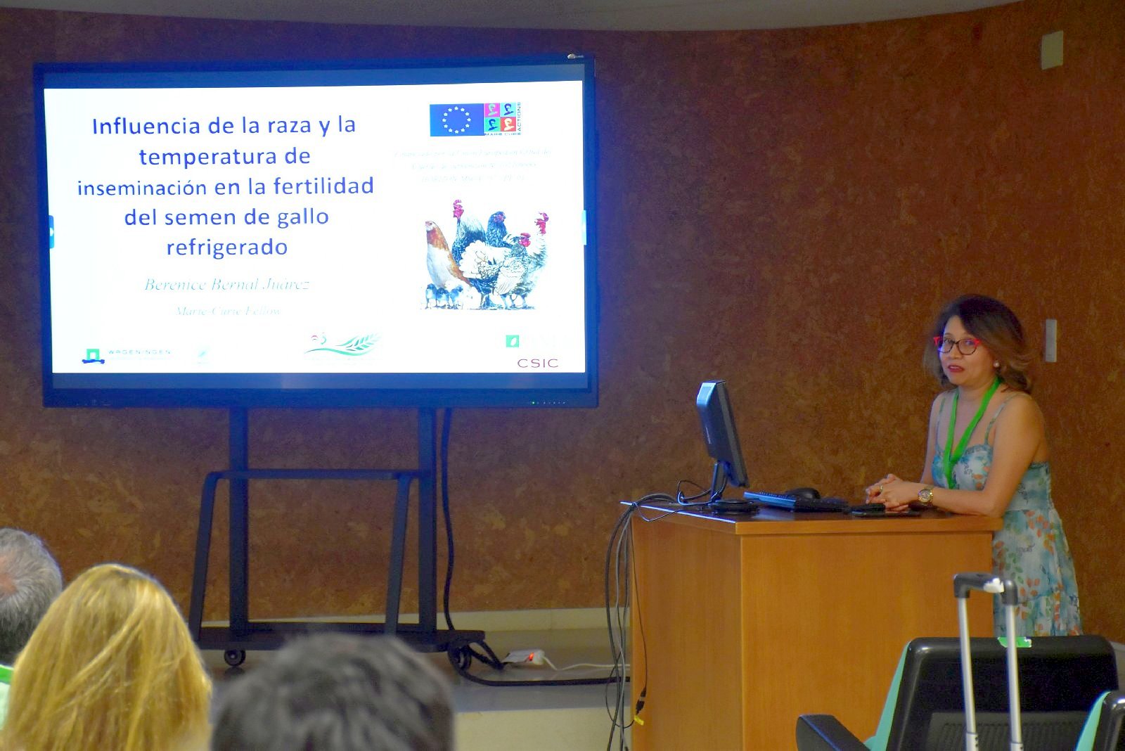 Jornadas AIDA 2025. Sesiones de comunicaciones