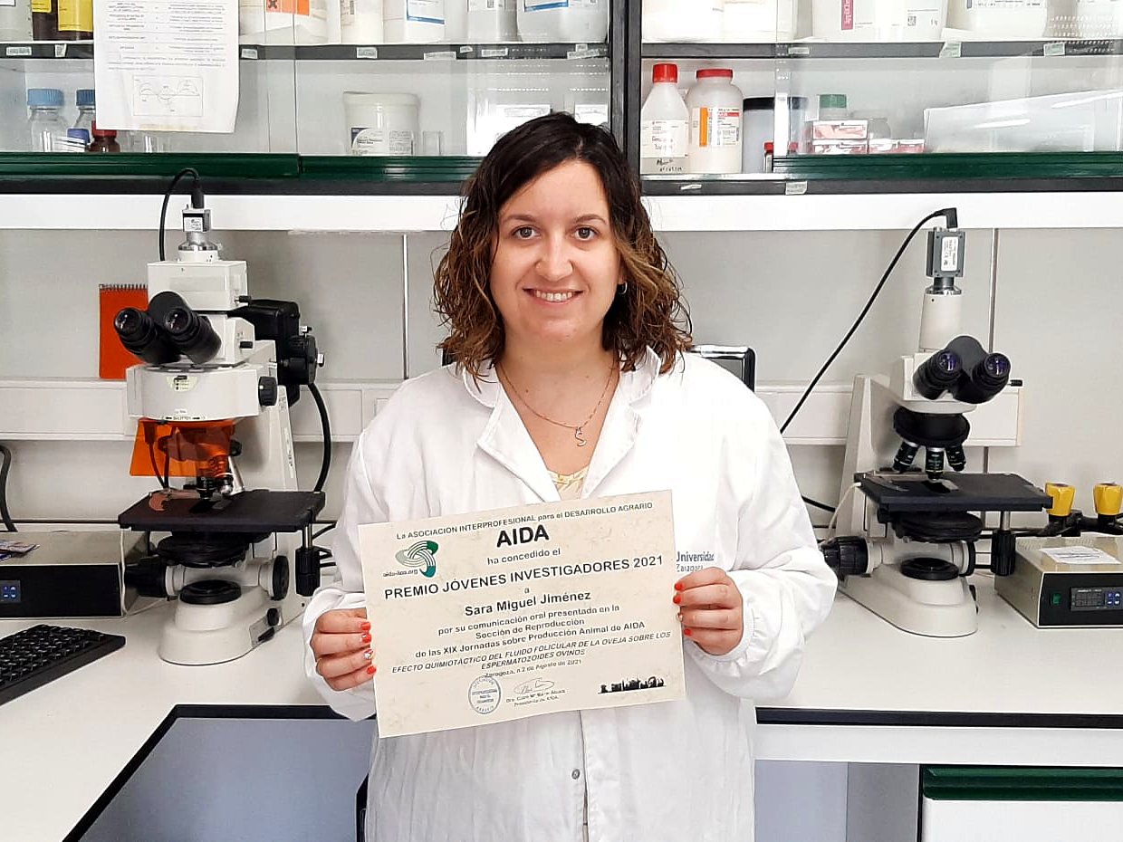Sara Miguel-Jiménez, Premio Jóvenes Investigadores 2021