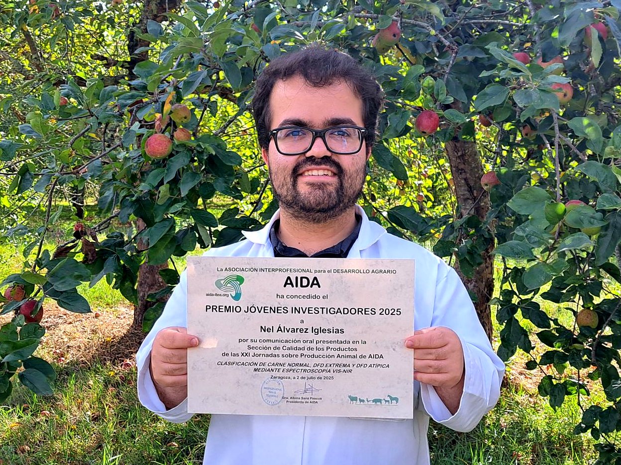 Nel Álvarez-Iglesias, Premio Jóvenes Investigadores 2025